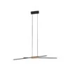 EGLO Suspension LED Panagria, Noire Avec Détail Bois -Luminaire 10001907