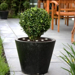 EGLO Lampe De Sol LED Spinetoli 2, Lot De 6 Avec Piquet -Luminaire 10001946 2