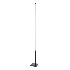 EGLO Lampadaire LED Picacha 1 Avec Télécommande, RGBW -Luminaire 10003520 7