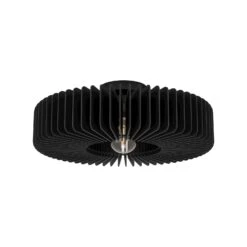 EGLO Plafonnier Palombaia En éventail, Noir -Luminaire 10015293 2
