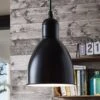 EGLO Suspension Priddy 1 à 1 Lampe, Noir -Luminaire 3031788