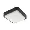 EGLO Connect Piove-C Applique D'extérieur LED -Luminaire 3032167