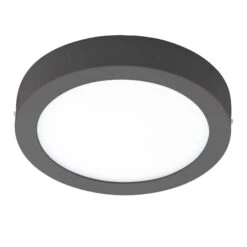 EGLO Connect Argolis-C Lampe Ext. Rond Anthracite