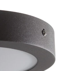 EGLO Connect Argolis-C Lampe Ext. Rond Anthracite -Luminaire 3032213 4