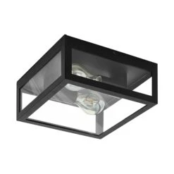 EGLO Plafonnier Bain Amezola, 2 Lampes, Noir -Luminaire 3032756 2