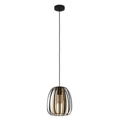 EGLO Suspension Encinitos, Noire/laiton, Ø 25,5 Cm -Luminaire 3032841 2